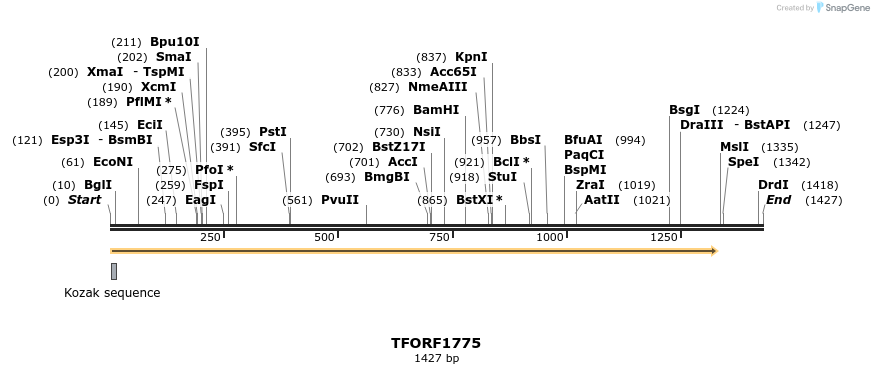 282762_map