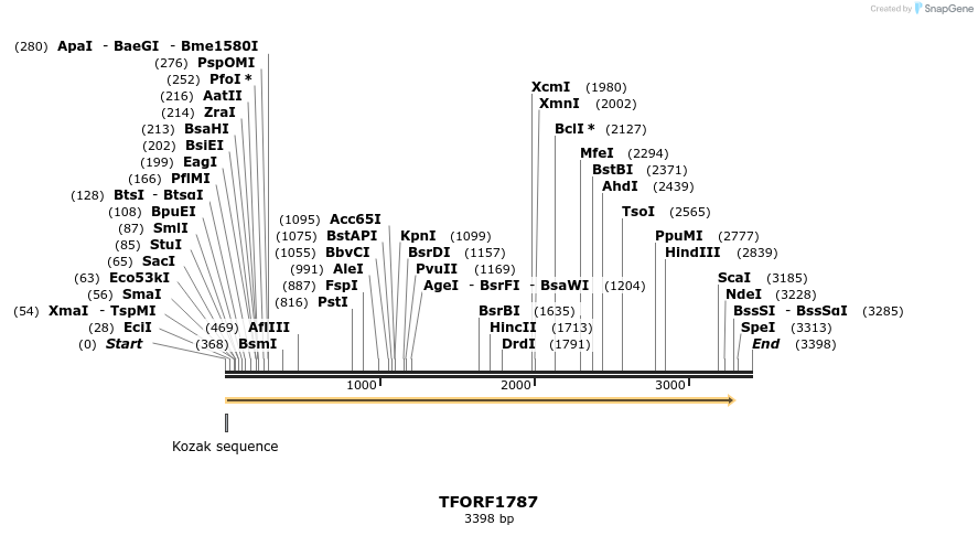 282765_map