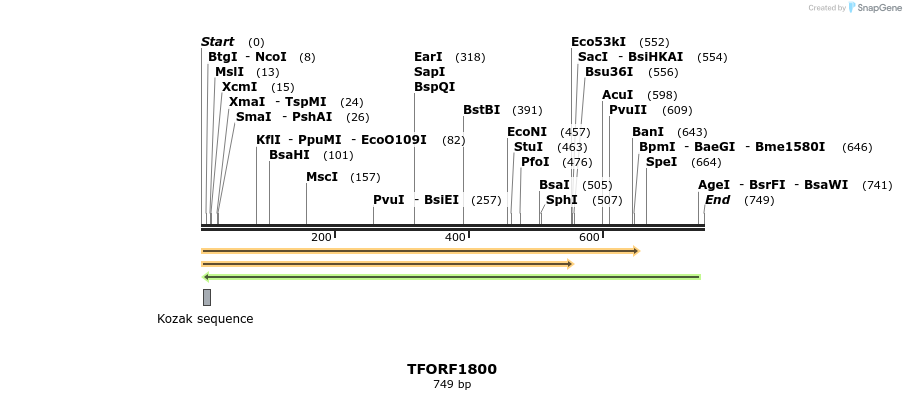 282768_map