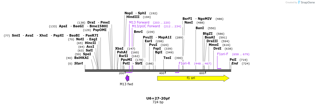 28277_map