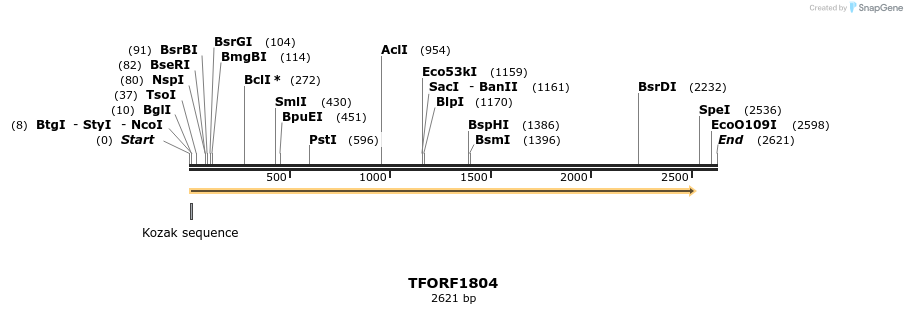 282771_map