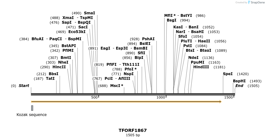 282786_map