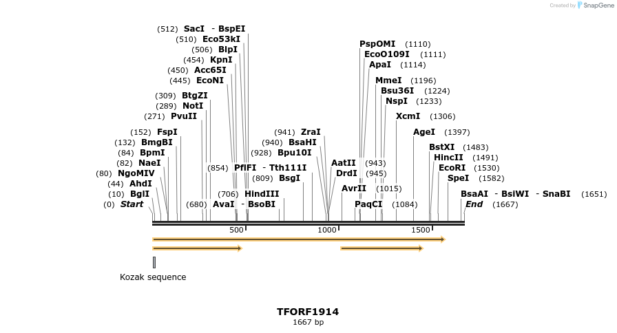 282789_map