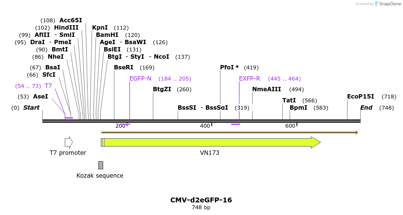 28279_map