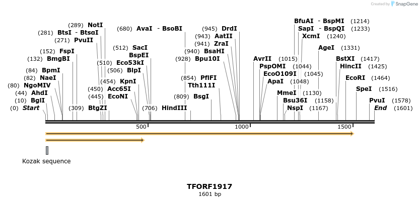 282792_map