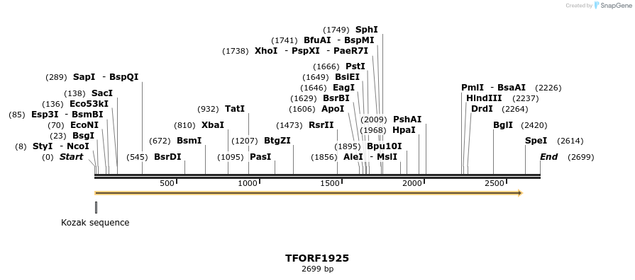282795_map