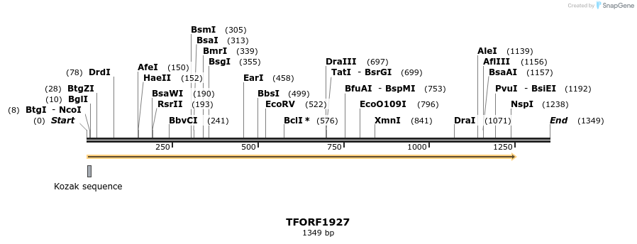 282798_map