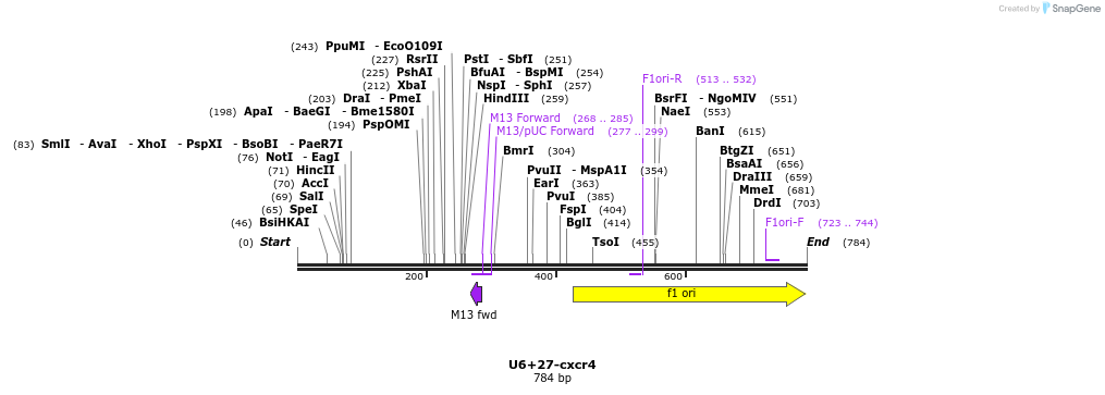 28280_map