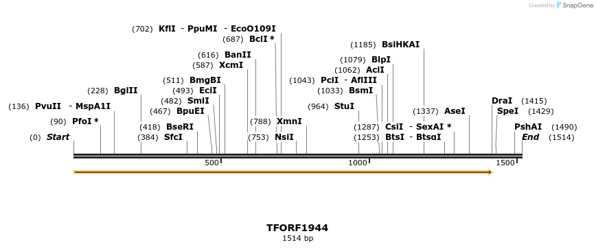282801_map