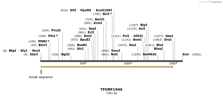 282804_map