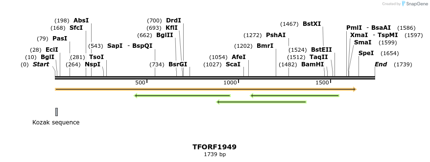 282807_map