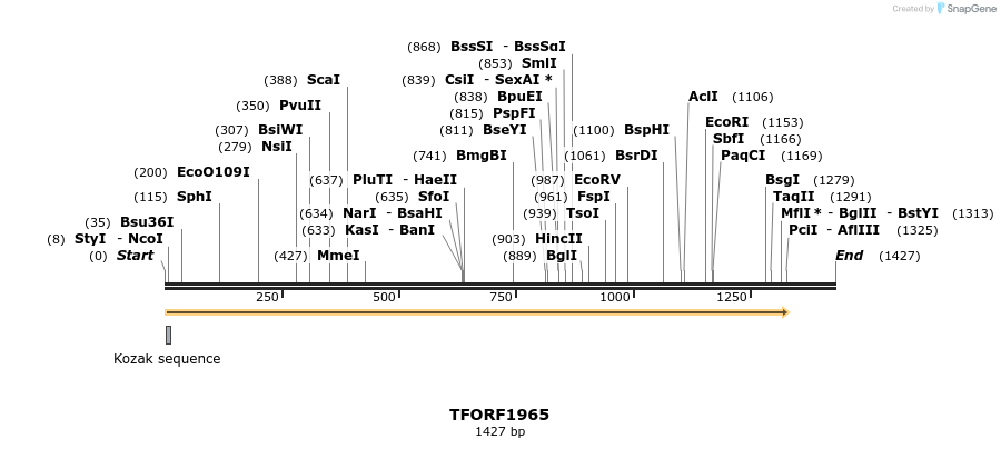 282810_map
