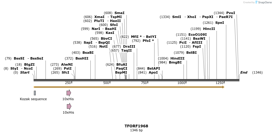 282813_map