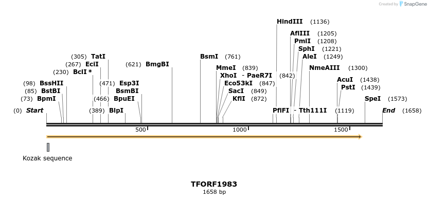282816_map