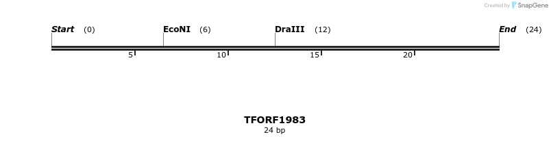 282817_map