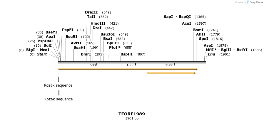 282819_map