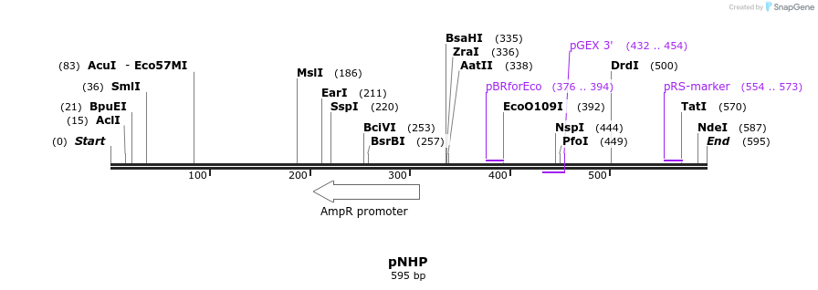 28282_map
