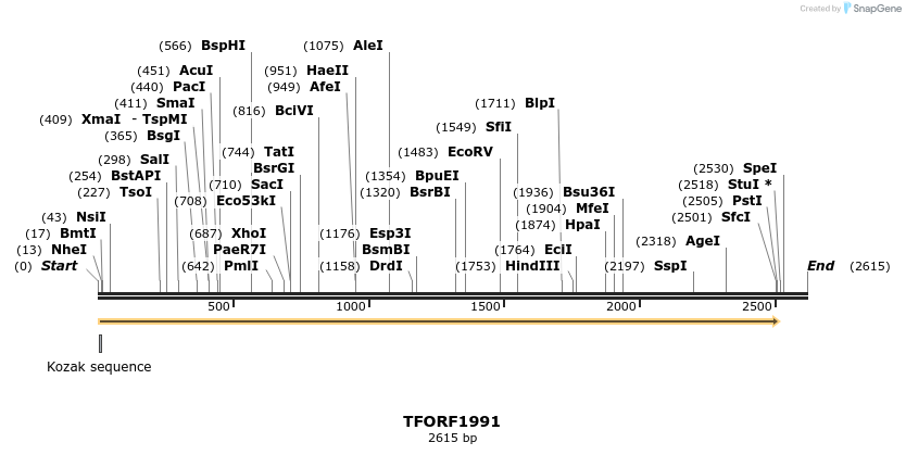 282822_map