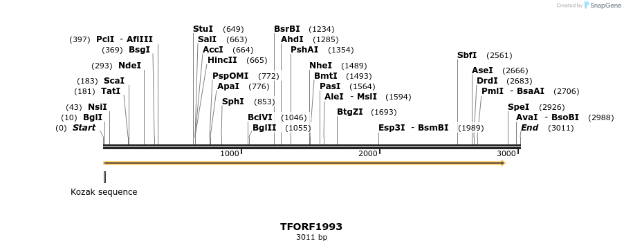 282825_map
