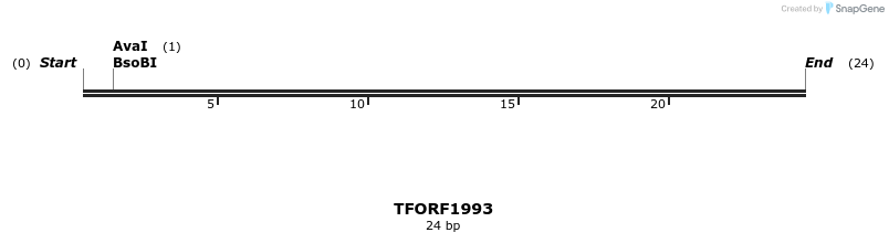 282826_map