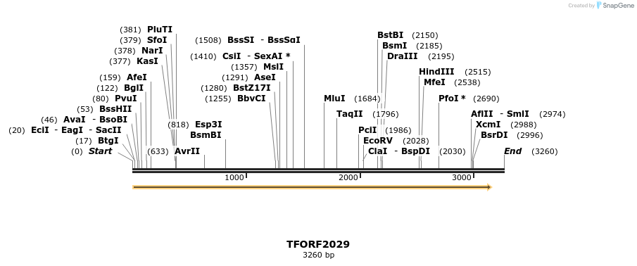 282828_map
