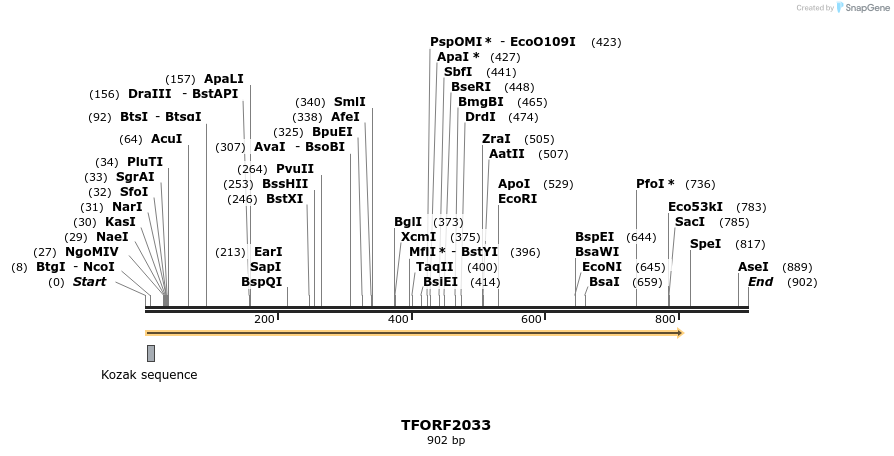 282831_map