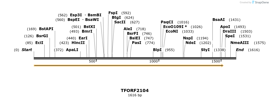 282837_map