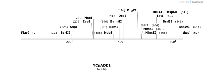 28284_map