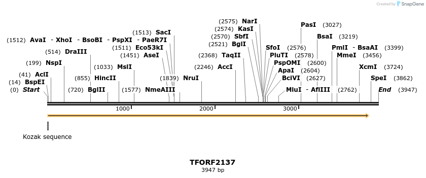 282840_map