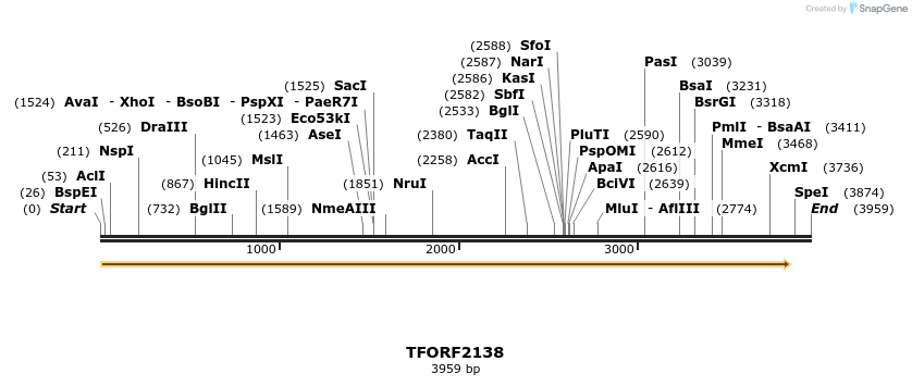 282843_map
