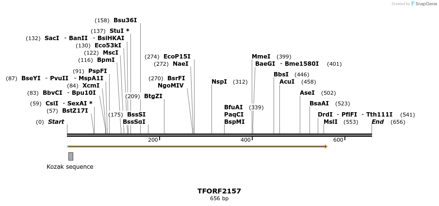 282846_map