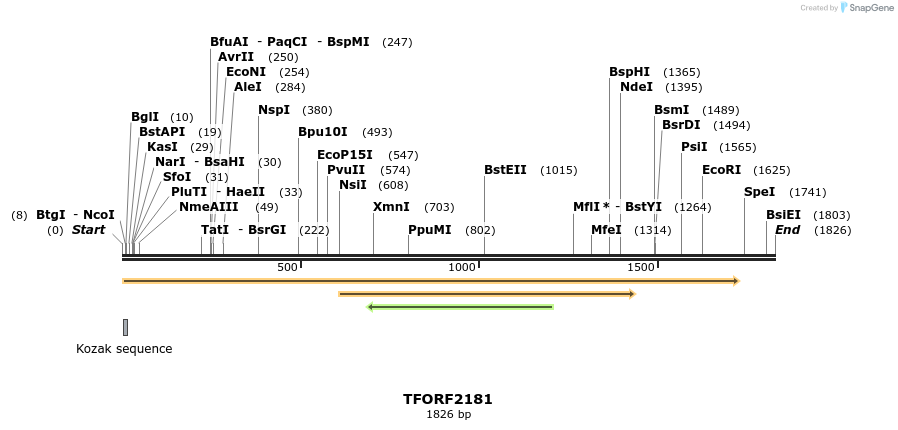 282849_map