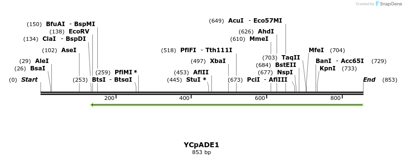 28285_map