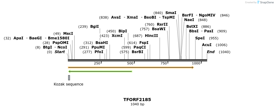282852_map