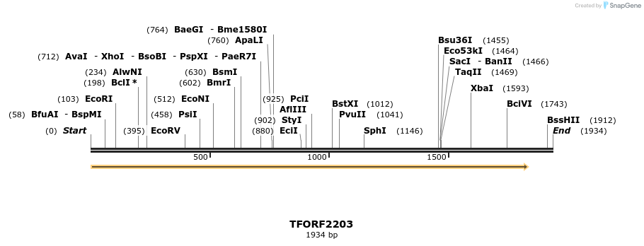 282858_map