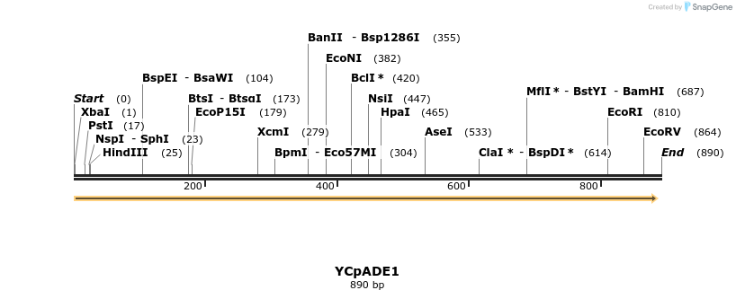 28286_map