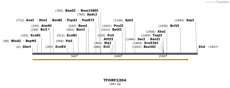 282861_map