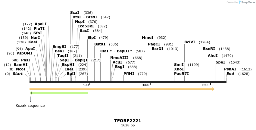 282864_map