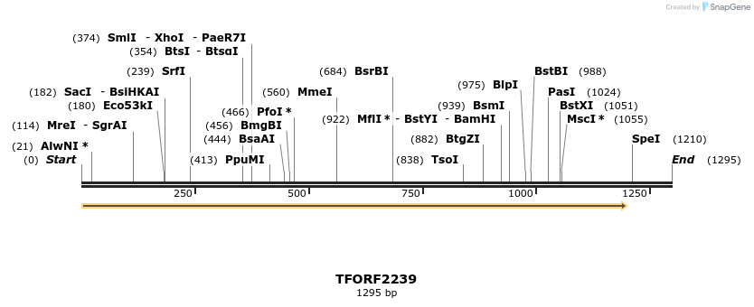 282867_map
