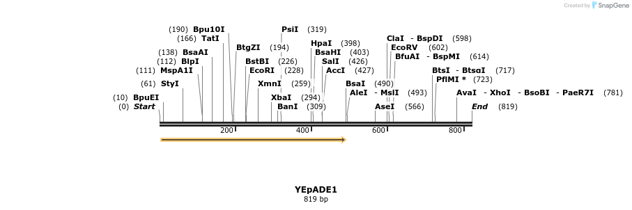 28287_map