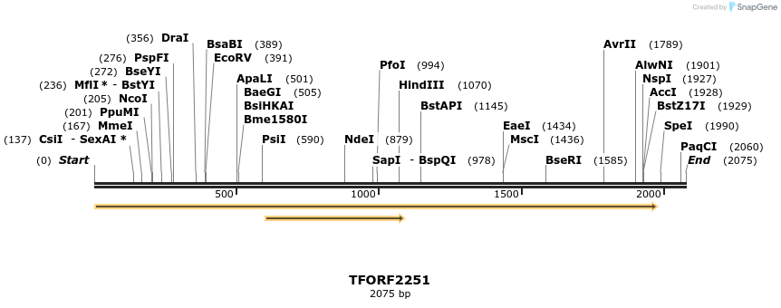 282870_map