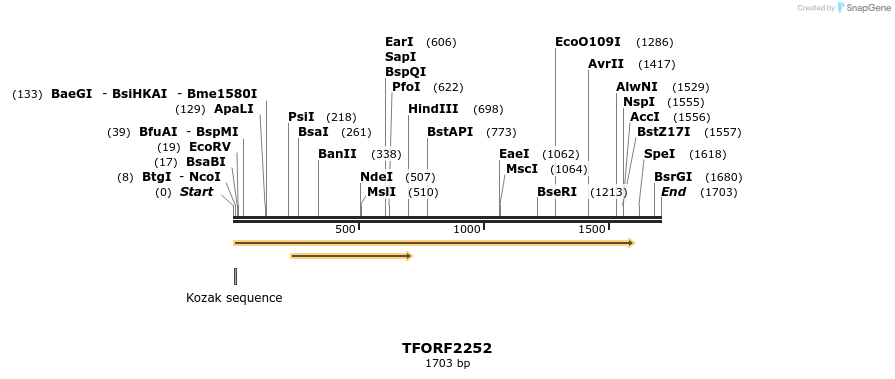 282873_map