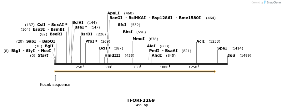282876_map