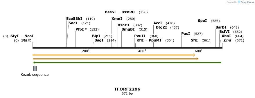 282879_map