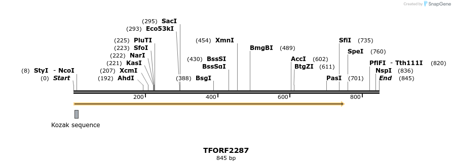 282882_map