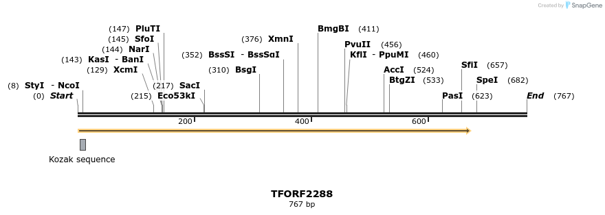 282885_map