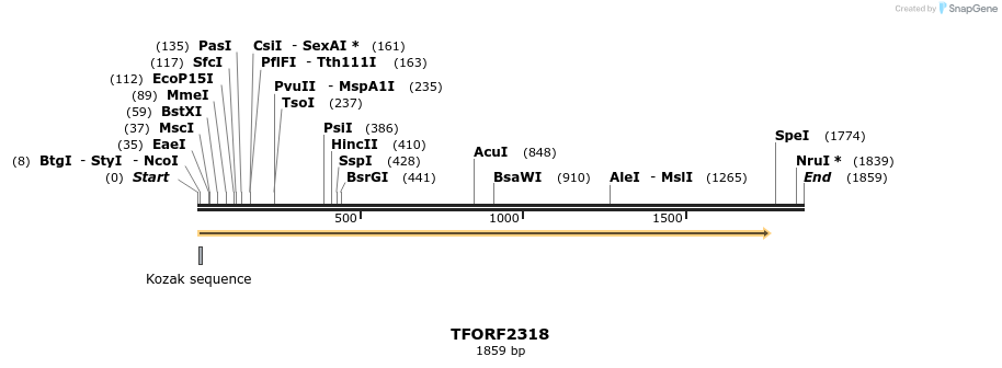 282888_map