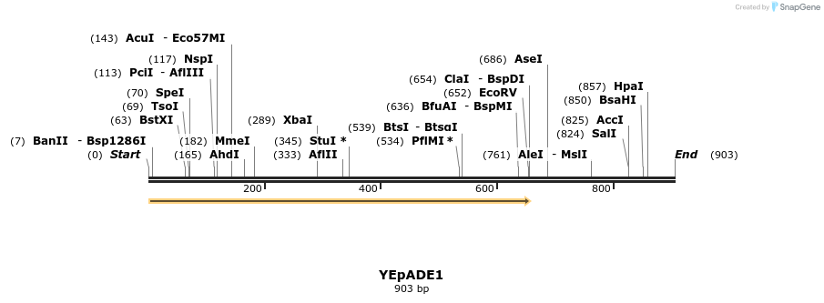 28289_map