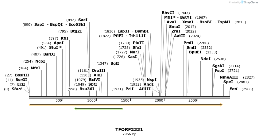 282891_map