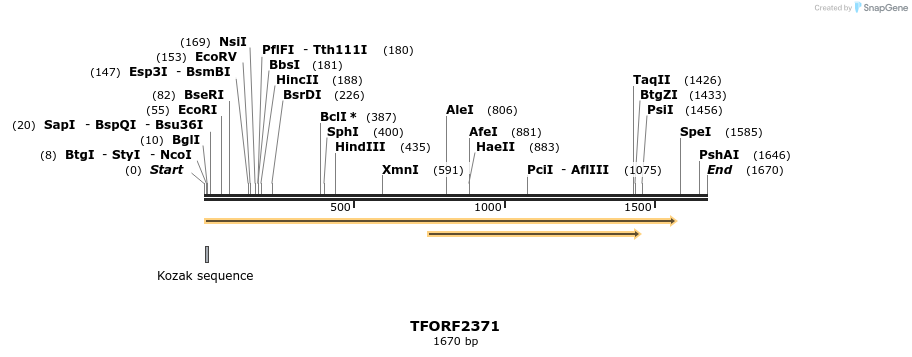 282894_map